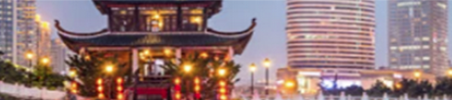 Chinese/Asian Interest Group